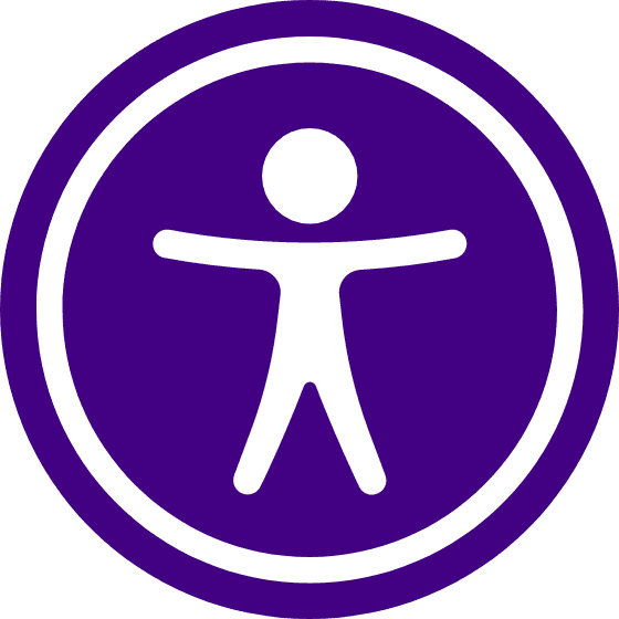 All in One Accessibility  logo