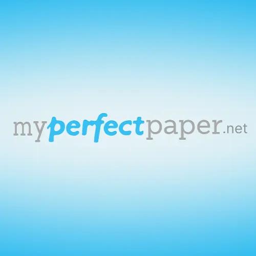 MyPerfectPaper.net AI Essay Writer  logo
