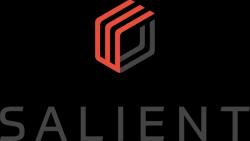 Salient Systems logo