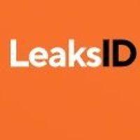LeaksID - Data Loss Prevention (DLP) Software