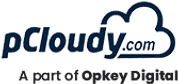 pCloudy - Automated Testing Software