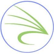 Snowfly - Gamification Software