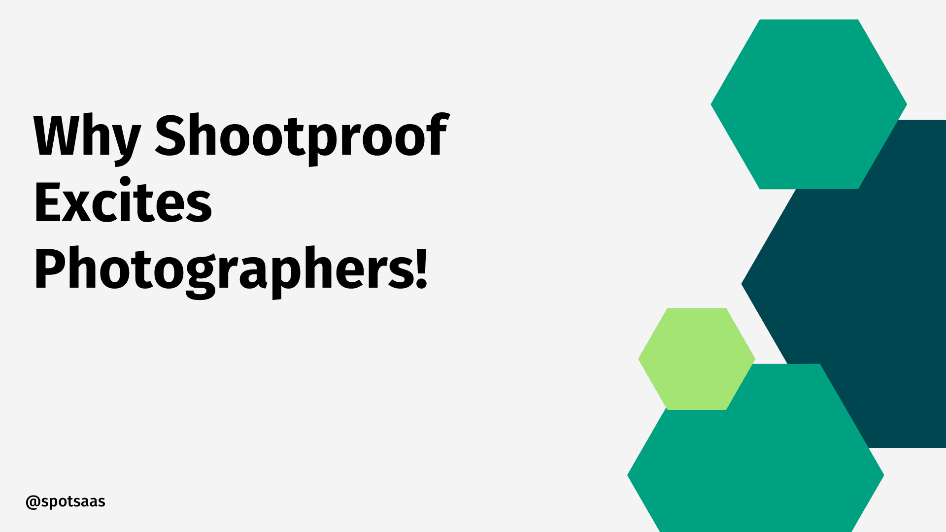 Photographers Are Going Crazy for Shootproof in 2026 – Find Out Why!