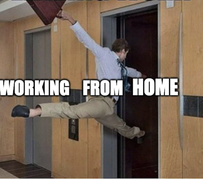 Work from Home Memes