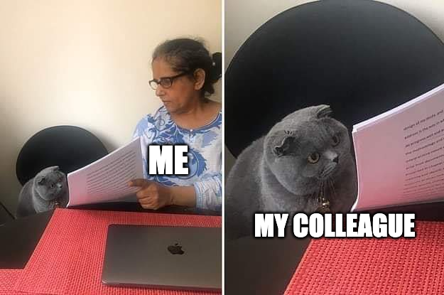 Work from Home Memes