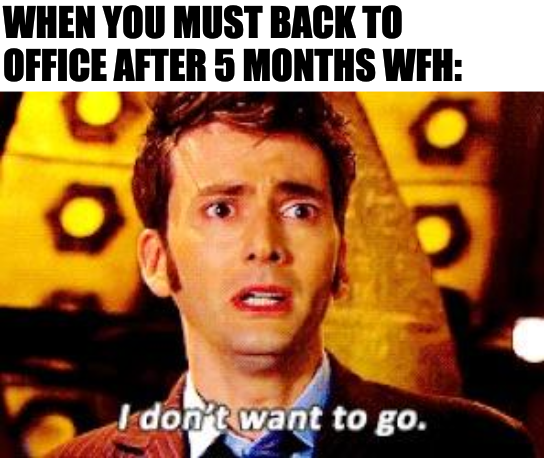 Work from Home Memes