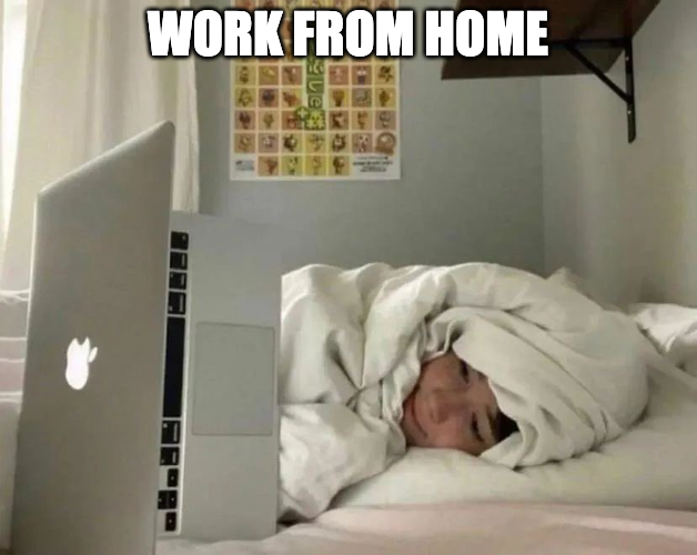 Work from Home Memes